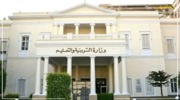 قرار جديد بشأن المعلمين.. تكليف عاجل للموارد البشرية بتنسيق التعليم الابتدائي. 1